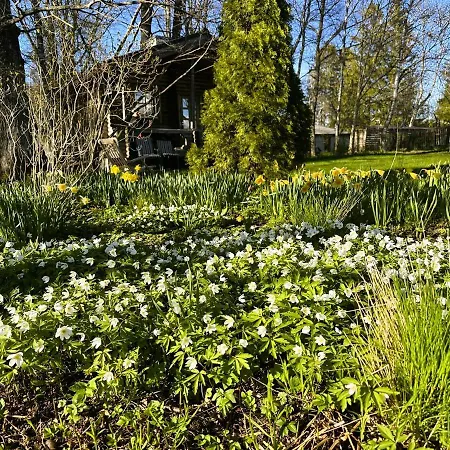 Korre Puhketare Semesterbostad