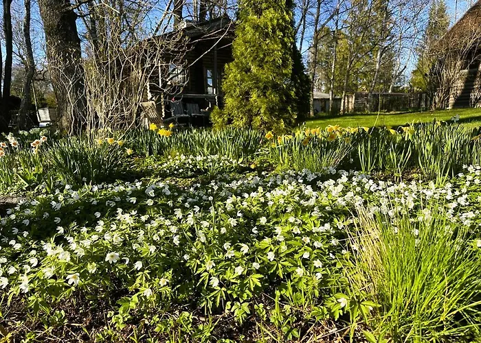 Korre Puhketare Dom wakacyjny